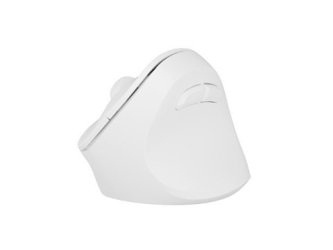 Mysz bezprzewodowa wertykalna Crake 2 BT 5.2 + 2.4GHz biała