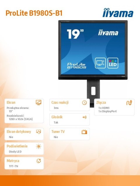 Monitor 19 cali B1980S-B1 HDMI, DP, PIVOT, HAS/150mm