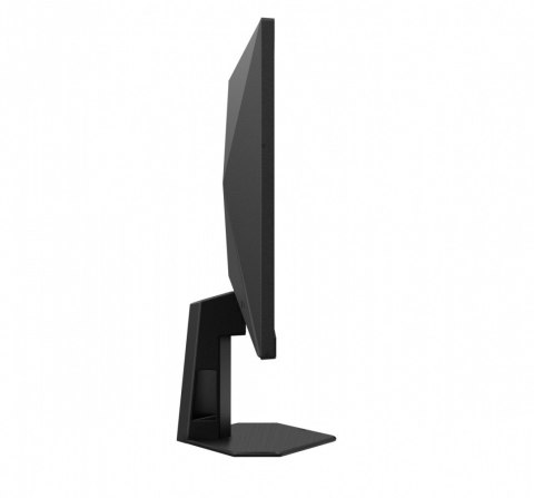 Monitor 24G4HRE 23.8 cala Fast IPS 200Hz HDMIx2 DP Głośniki