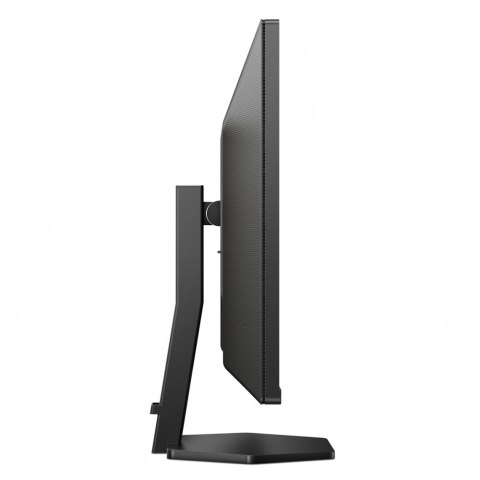 Monitor 31.5 cala 32E1N3100LA VA 75Hz HDMIx2 VGA