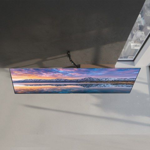 Uchwyt do telewizora lub monitora 13-65 cali MC-743 30kg Maclean