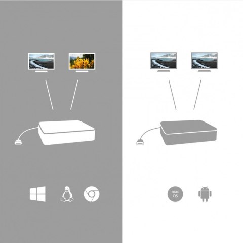 Stacja dokująca USB-C HDMI Docking Station with PD 100W