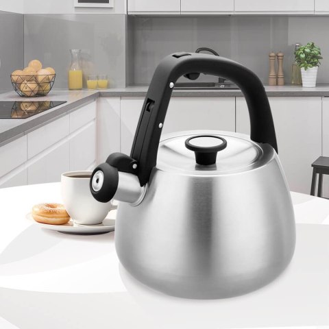 Czajnik nieelektryczny 2,5 l MR-1318
