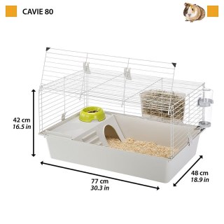 CAVIE 80 (x1) - klatka dla świnek morskich