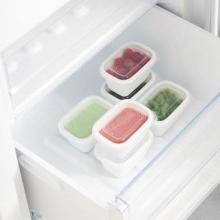 Rotho Freeze zestaw pojemników do mrożenia 6 x 0,25l