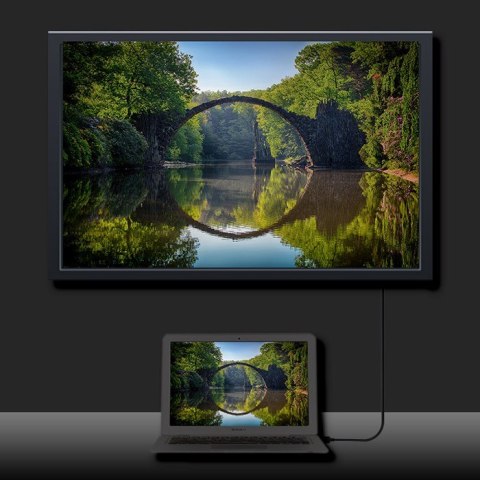 Kabel DisplayPort v1.2 męski | DisplayPort v1.2 męski | 4K |3m Qoltec