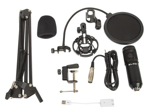 Mikrofon studyjny z uchwytem BLOW