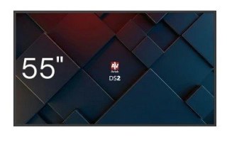 Monitor informacyjny DS2 55 cali