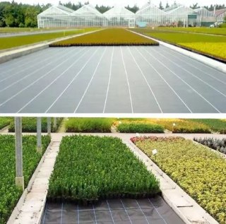 Agrotkanina Czarna 100 cm x50m UV 70g Antychwastowa Agrowłóknina + Kotwy LEAN