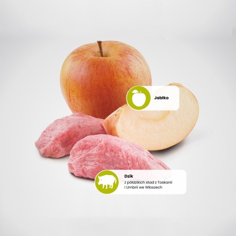 FARMINA N&D Prime Boar & Apple Adult - sucha karma dla kota - 5kg