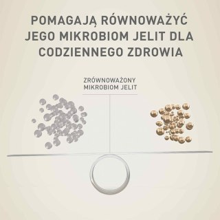 Purina Karma One Mini Active bogata w kurczaka z ryżem 800g