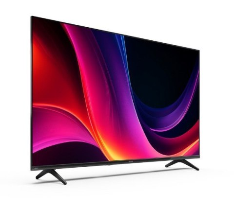 Telewizor LED 43 cale 43HE2445E