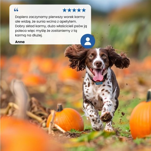 FARMINA N&D Pumpkin Lamb & Blueberry Puppy Mini - sucha karma dla szczeniąt - 2,5 kg