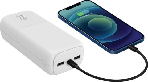 Powerbank P30 30 000mAh Rebeltec