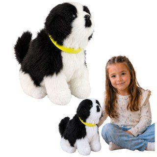 Interaktywny Pies Piesek Border Collie Pluszowy Szczeka Rusza Ogonem LEAN Toys