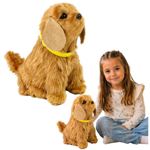 Interaktywny Pies Piesek Cocker Spaniel Pluszowy Szczeka Rusza Ogonem