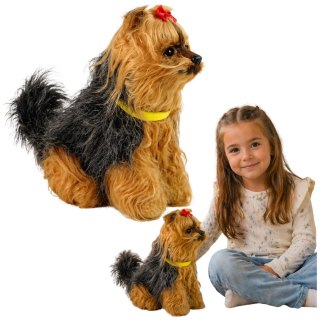 Interaktywny Pies Piesek Yorkshire terrier York Pluszowy Szczeka Rusza Ogonem