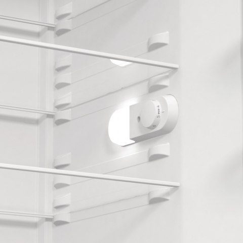 Chłodziarka R619EEW5 Gorenje