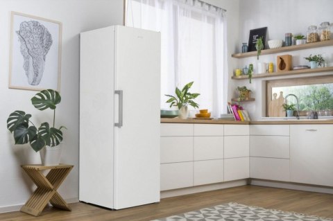 Chłodziarka R619EEW5 Gorenje