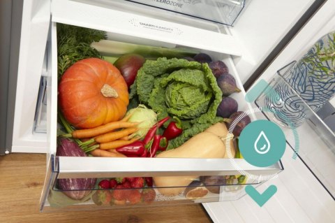 Chłodziarka R619EABK6 Gorenje