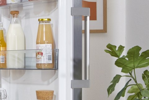 Chłodziarka R619EES5 Gorenje