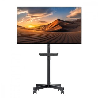 Stand wózek do TV 32-55 cali MC-949 Maclean