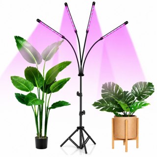 Lampa LED Do Wzrostu Uprawy I Doświetlania Roślin Statyw 4 Panele Pilot LEAN