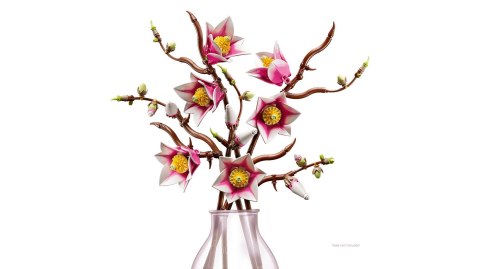 LEGO Botanical Collection 11510 - Gałązki magnolii