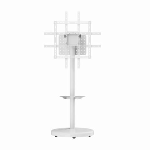 GEMBIRD STOJAK NA TELEWIZOR 37" - 86", BIAŁY