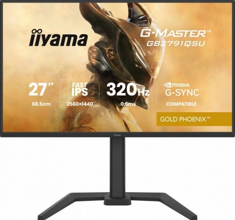 Monitor 25 cali GB2791QSU-B1 0.6ms,DP,2xHDMI 2.1 ,320Hz, Fast IPS, WQHD,350 cd/m2, USB HUB x4 (2x Type-A, 2x Type-C), G-SYNC co