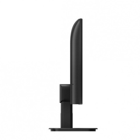 Monitor 24E1N1100A IPS 23.8 cala 100Hz HDMI Głośniki