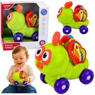Interaktywna Zabawka Autko Pszczółka Sensoryczna Dla Malucha Zielona LEAN TOYS