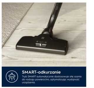 Odkurzacz workowy Pure D8 PD82-ALRG SILENCE