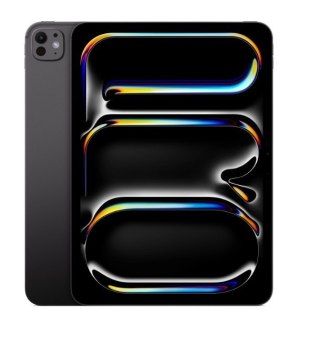 IPad Pro 13-calowy Wi-Fi + Cellular 2 TB ze szkłem standardowym - Gwiezdna czerń
