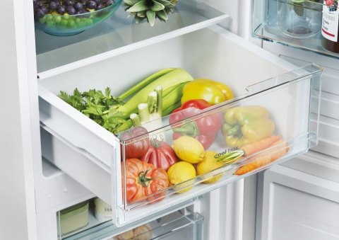 Chłodziarko-zamrażarka CCT3L517EW Candy