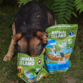 ANIMAL ISLAND łosoś sucha pies 1 kg