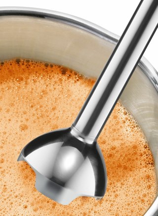Blender ręczny BOSCH MSM24100