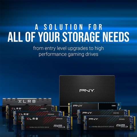 Dysk SSD PNY CS1030 2TB M.2 2280 PCI-E x4 Gen3 NVMe