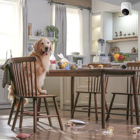 Kamera wewnętrzna do monitoringu 2K IR Wi-Fi Bluetooth - biała Dreame
