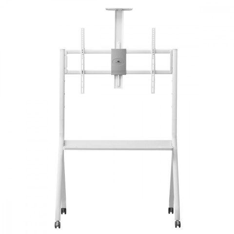 Stojak do TV na kółkach MC-114W Maclean