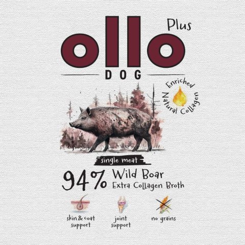 Ollo Plus Kolagen Dzik 800g