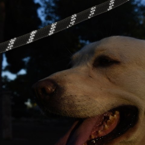 Smycz dla psa treningowa na lince wytrzymała odblaskowa 3m Kik Sp. z o. o. Sp. k.