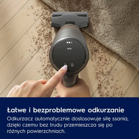 Odkurzacz pionowy Animal 800 EP82AB25UG