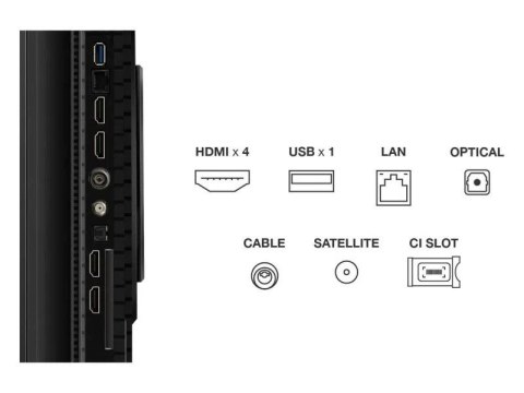 Telewizor TCL 55" QLED 4K 55P81K