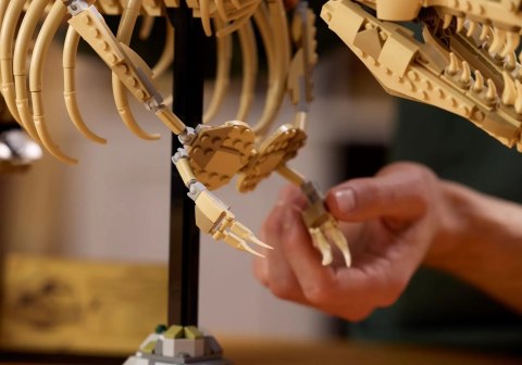 LEGO Jurrasic World 76968 - Szkielety dinozaurów: Tyranozaur