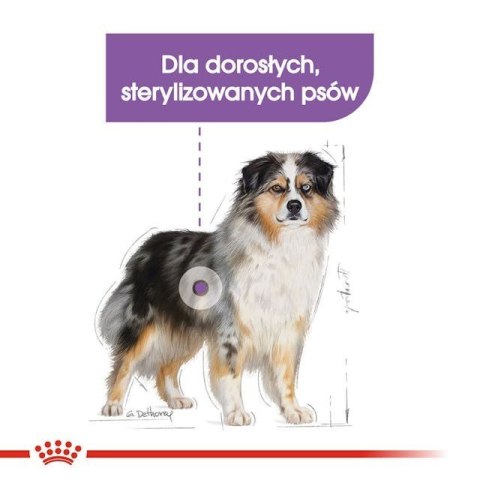 ROYAL CANIN CCN Medium Sterilised Adult - sucha karma dla psa - 12 kg (OUTLET)