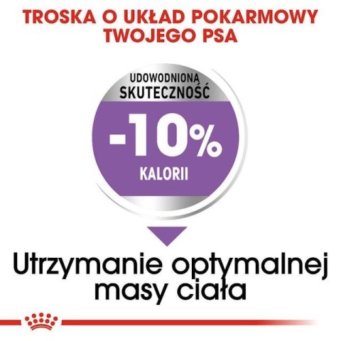 ROYAL CANIN CCN Medium Sterilised Adult - sucha karma dla psa - 12 kg (OUTLET)