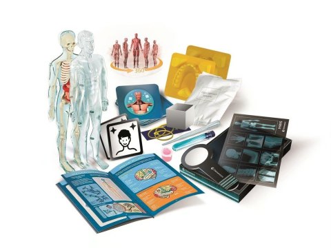 Zestaw Clementoni - Super anatomia