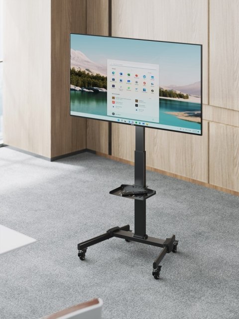 GEMBIRD STOJAK POD TELEWIZOR Z REGULACJĄ WYSOKOŚCI, MOBILNY, NA KÓŁKACH 32" - 55"