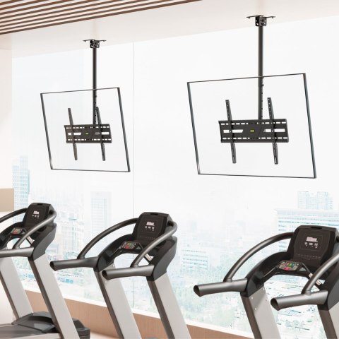 MACLEAN UCHWYT / WIESZAK SUFITOWY DLA TV, MAX. OBCIĄŻENIE 50KG, 37-86", MAX VESA 600X400 MC-173